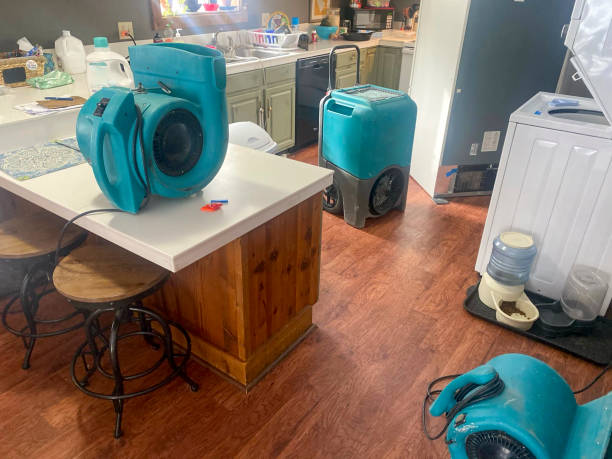 Best Professional water damage repair  in Walcott, IA