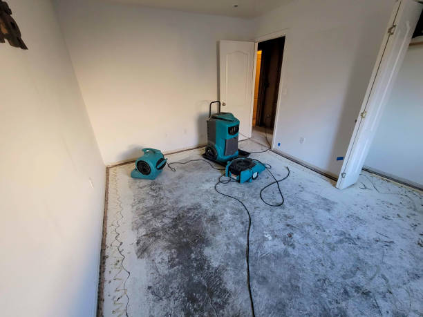 Best Flood restoration services  in Walcott, IA