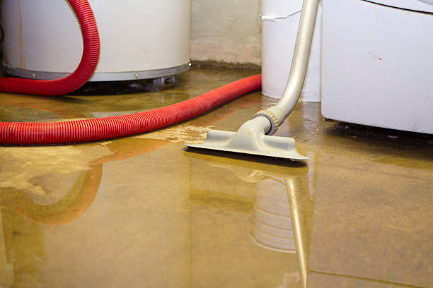 Best Carpet water damage restoration  in Walcott, IA