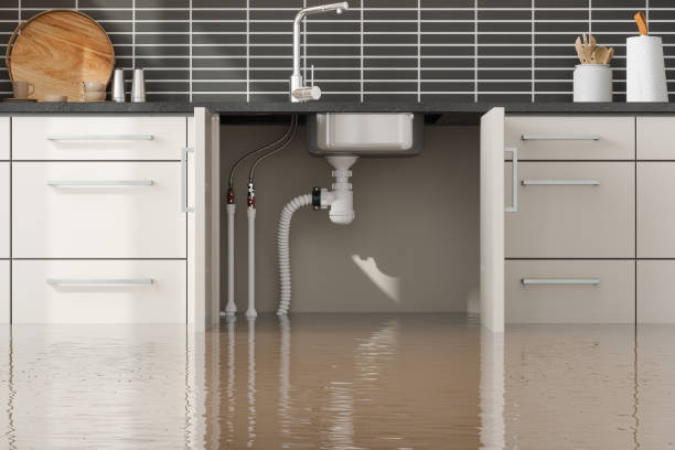 Best Flood damage cleanup  in Walcott, IA