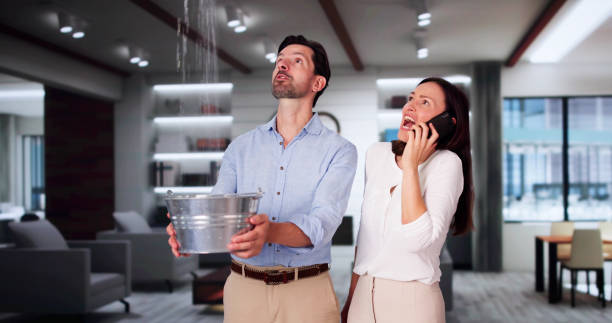 Best Water damage restoration insurance claims  in Walcott, IA